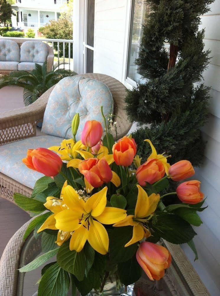 Bay Haven Inn Of Cape Charles Extérieur photo